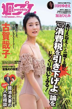 新女婿时代全集在线观看